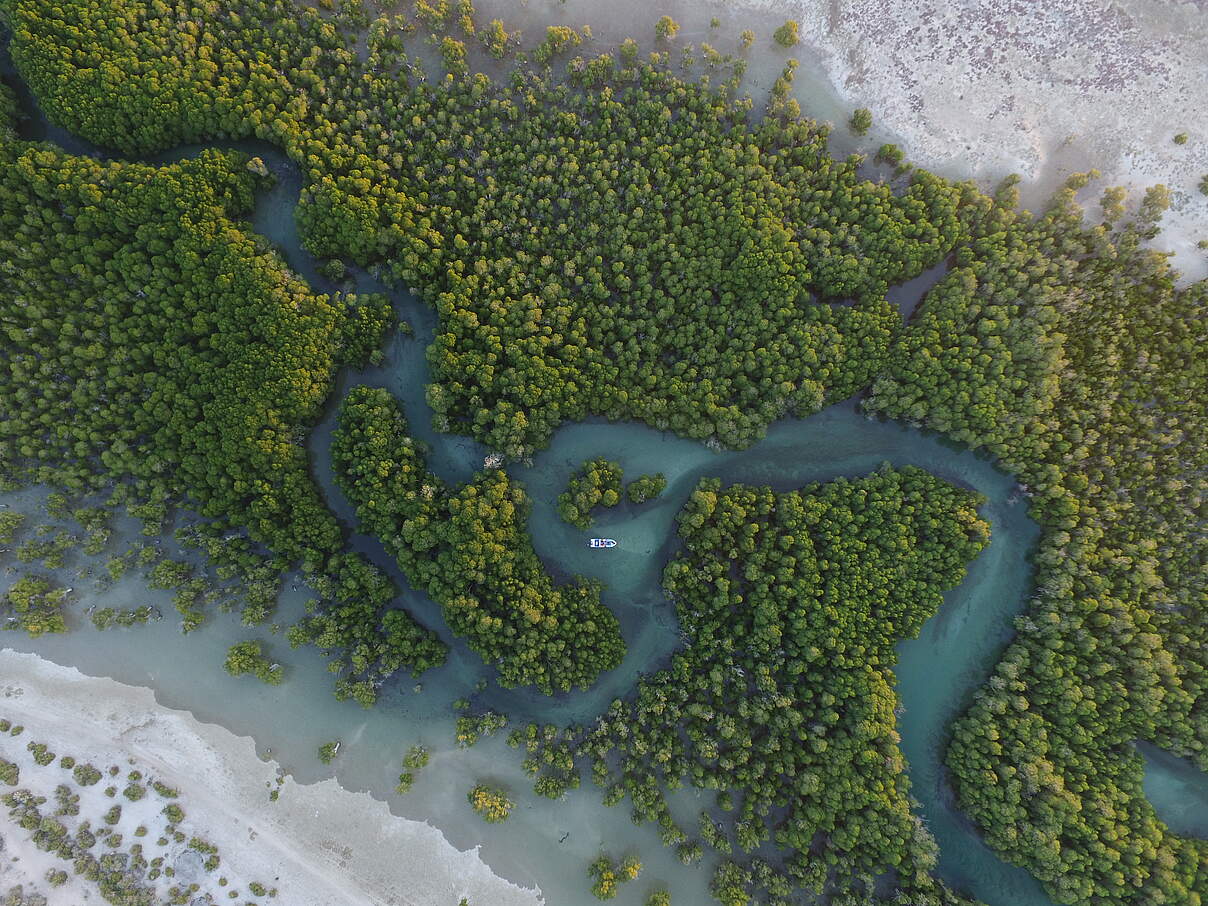 Mangroves between Anakao and Androka in the Mahafaly land- and s Mangroven © Martina Lippuner / WWF Afrika