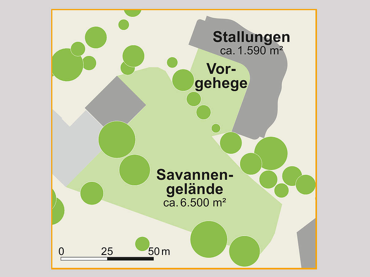 Die neue Savannen-Anlage im Zoo Heidelberg © Zoo Heidelberg