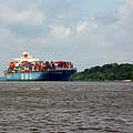 Containerschiff auf der Elbe © Anna Holl / WWF