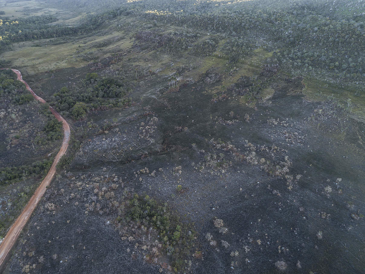 Blick von einer Drohne auf abgebrannte Flächen im Cerrado © Andre Dib / WWF-Brazil