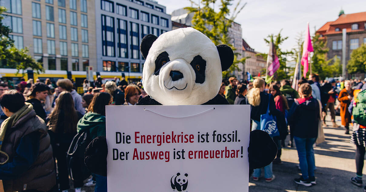 Pressestatement Zum Climate Ambition Summit In New York