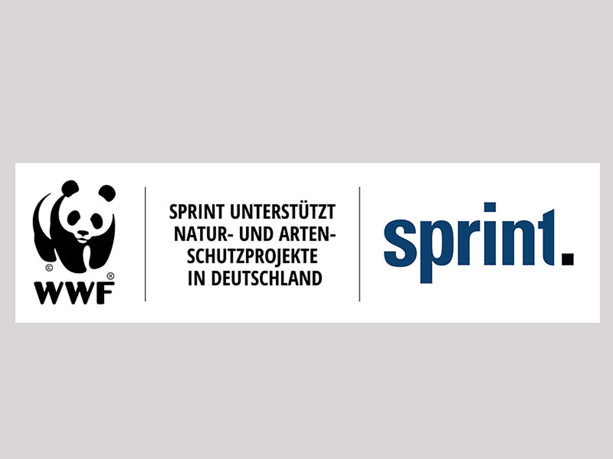 Sprint / WWF Kooperation