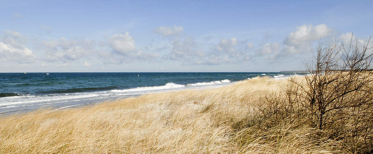 Ostseestrand bei Warnemünde © Ralph Frank / WWF