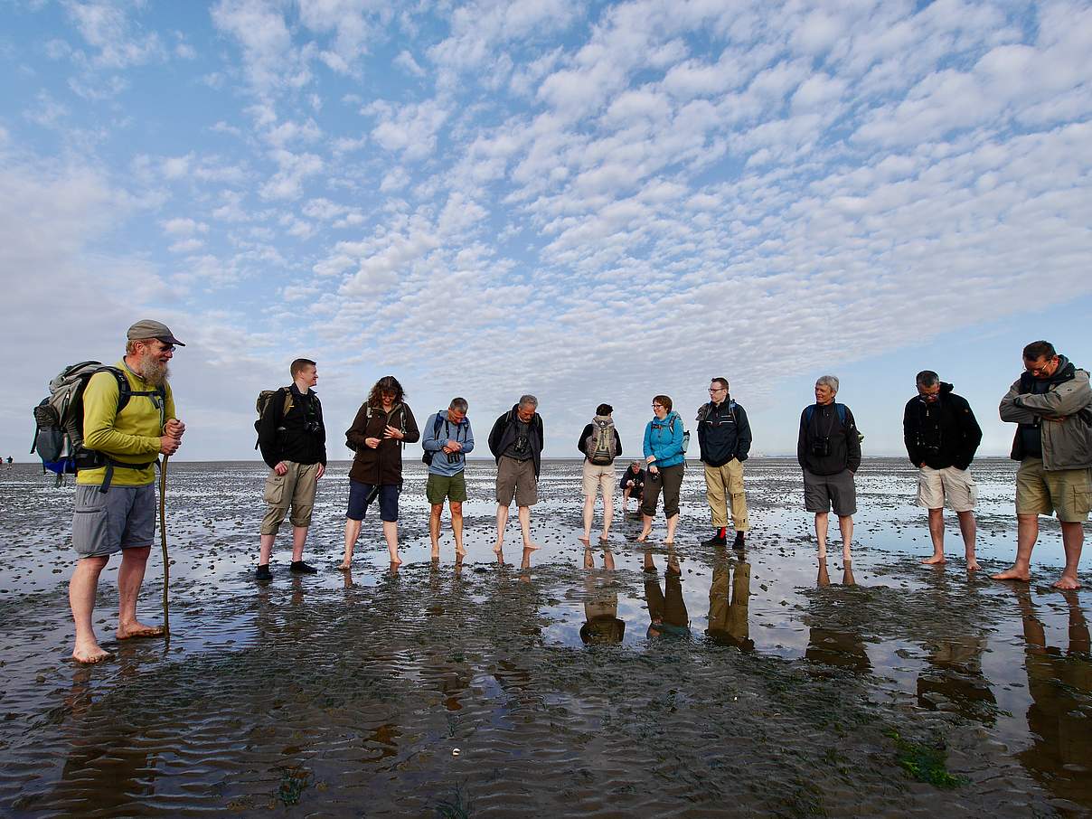 Naturschutz Wattenmeer Nordseek Ste