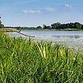 Mittlere Elbe © Ralph Frank / WWF