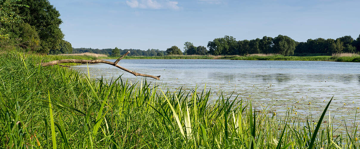 Mittlere Elbe © Ralph Frank / WWF