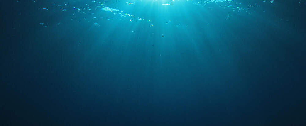 Unterwasser © Shutterstock / Rich Carey / WWF-Peru