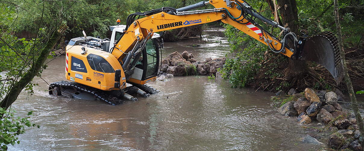 Leuchtenhofer Wehr an der Baunach © Sigrun Lange / WWF