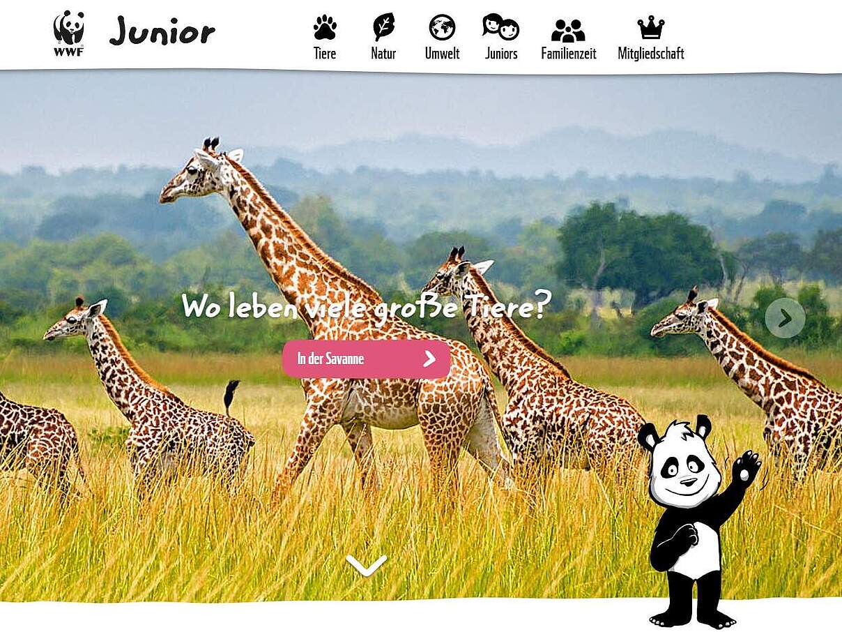 Junior Website mit Artenschutzthema