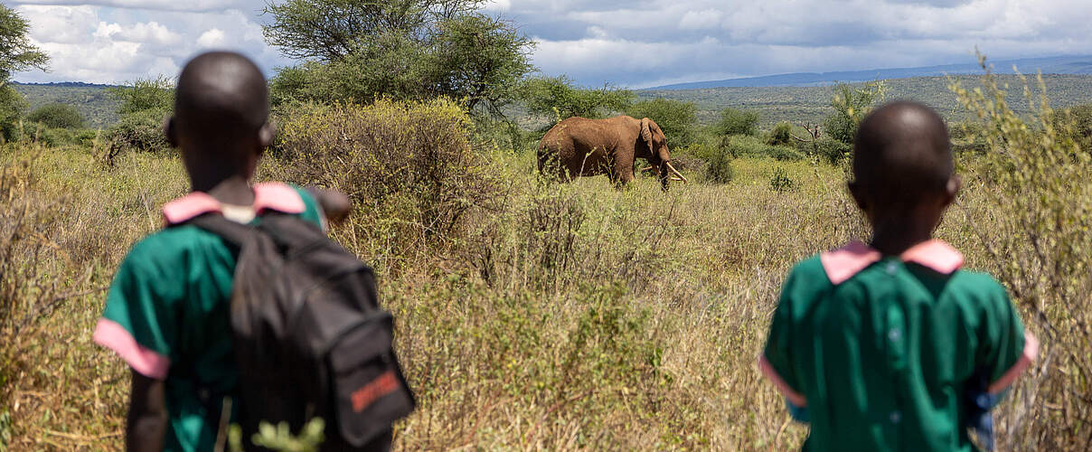 Drei Schüler der Amboseli-Grundschule begegneten auf dem Heimweg von der Schule einem Elefanten © Faith Tanui / WWF Kenia