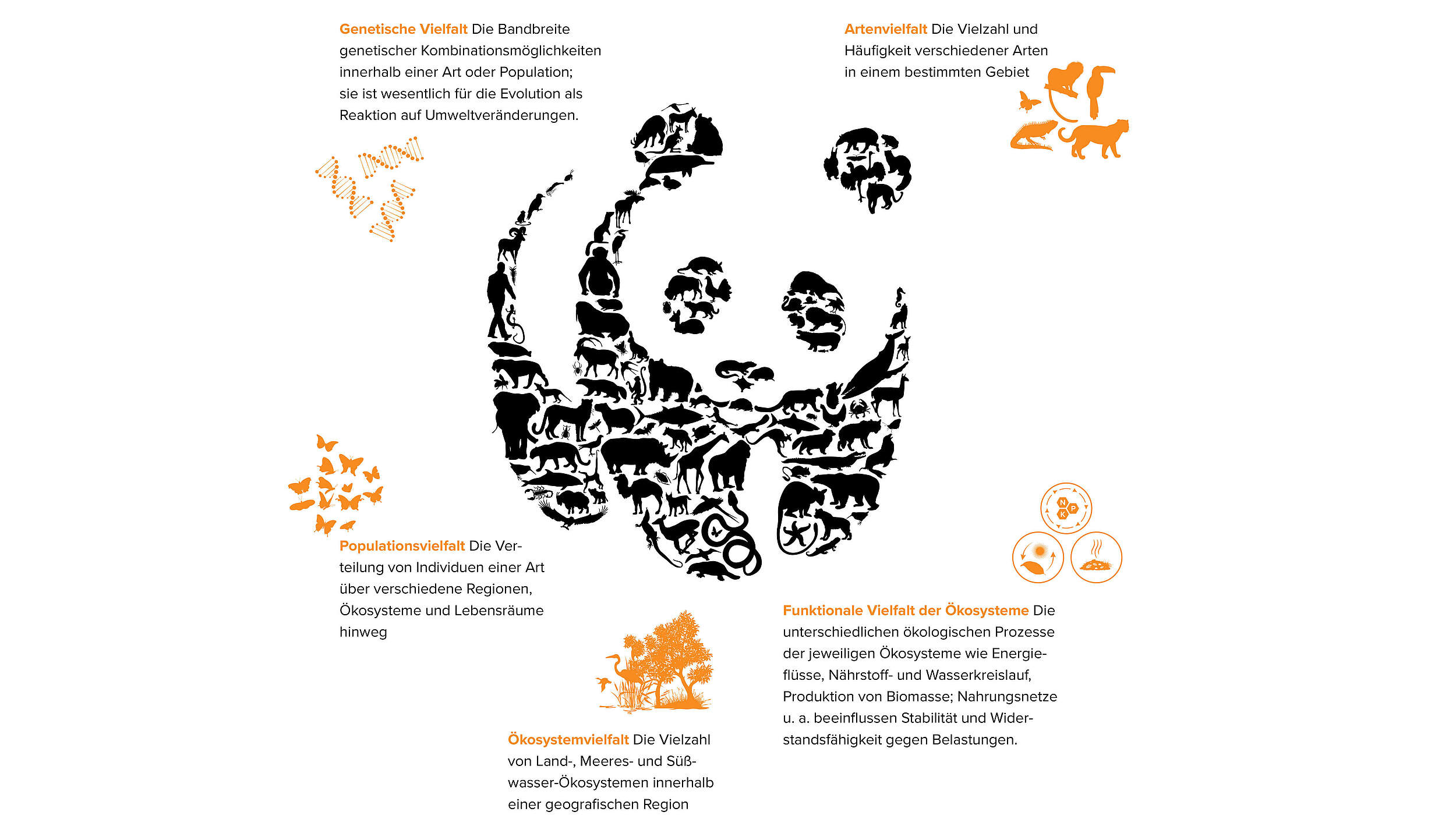 Grafik Biodiversität Living Planet Report 2024 © WWF