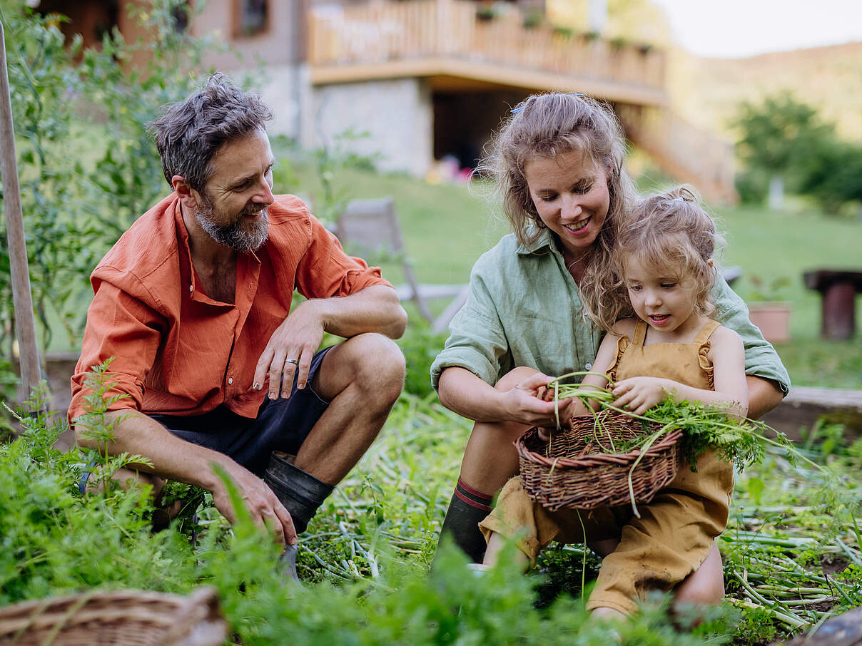 Familie im Garten beim Pflanzen © Halfpoint / iStock / Getty Images