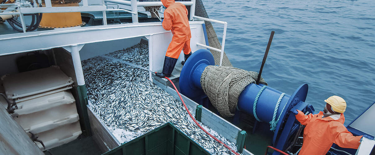 Besatzung eines Fischerboots mit Schleppnetz © Gorodenkoff / iStock / Getty Images