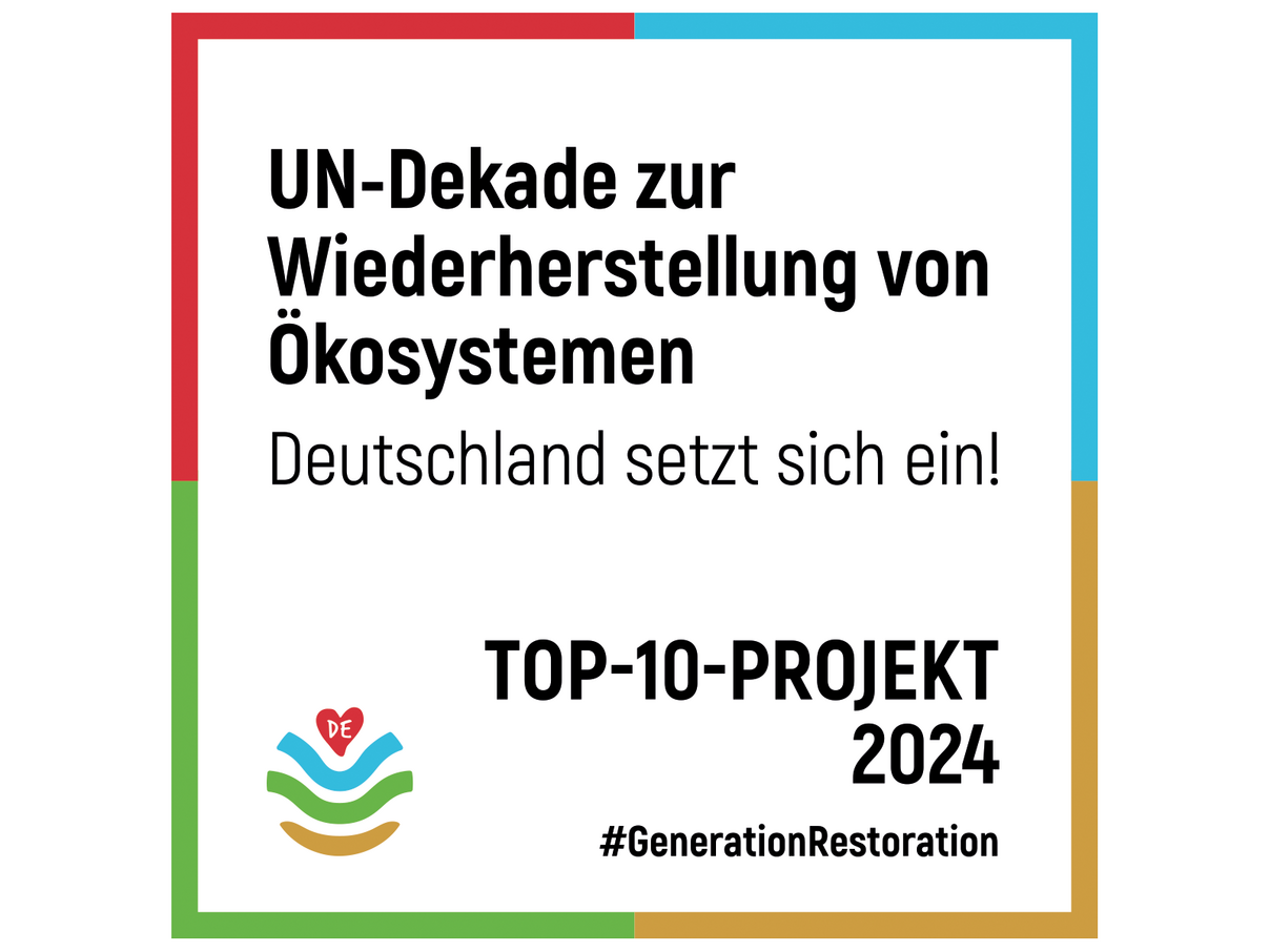 TOP10-Projekt der UN-Dekade zur Wiederherstellung von Ökosystemen 