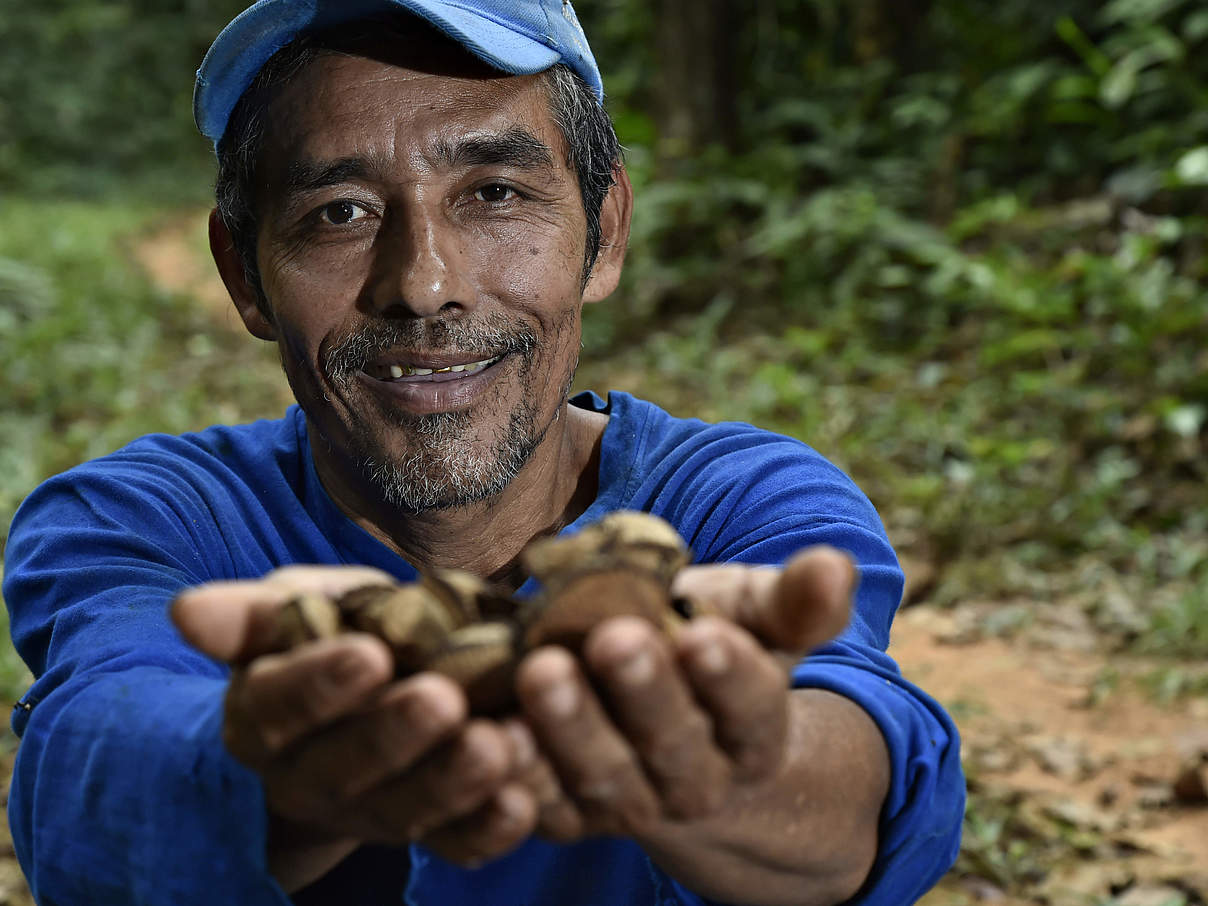 Bauer für Paranuss-Anbau in Bolivien © Adriano Gambarini / WWF Living Amazon Initiative