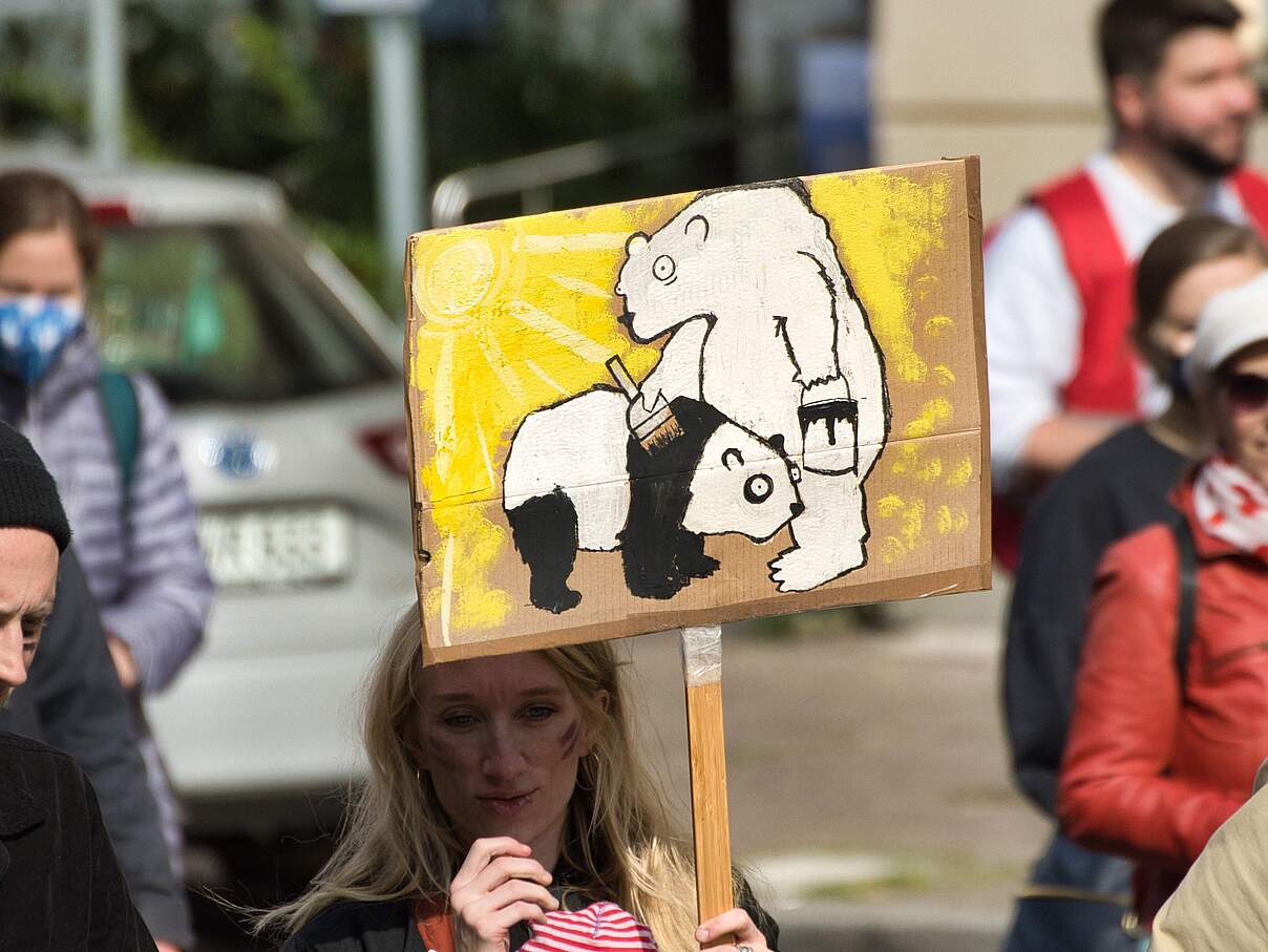 Klimastreik 2022: Eisbär bemalt als Panda © Alex Puell