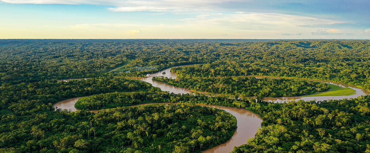 Regenwald im Amazonas © Jarno Verdonk / Getty Images