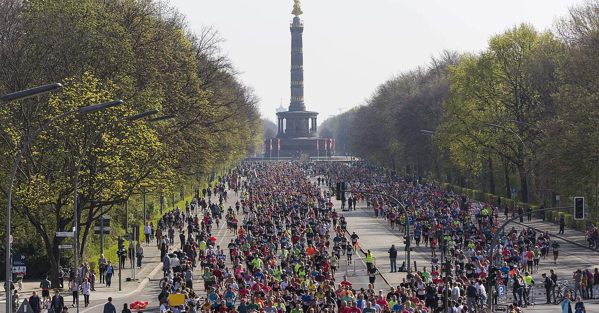 Berliner Halbmarathon Laufen für den WWF