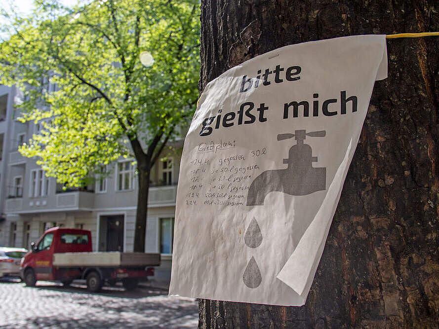 An einem Baum in der Stadt ist ein Schild befestigt mit der Aufschrift: "Bitte gießt mich". © Anja Bertuch / WWF