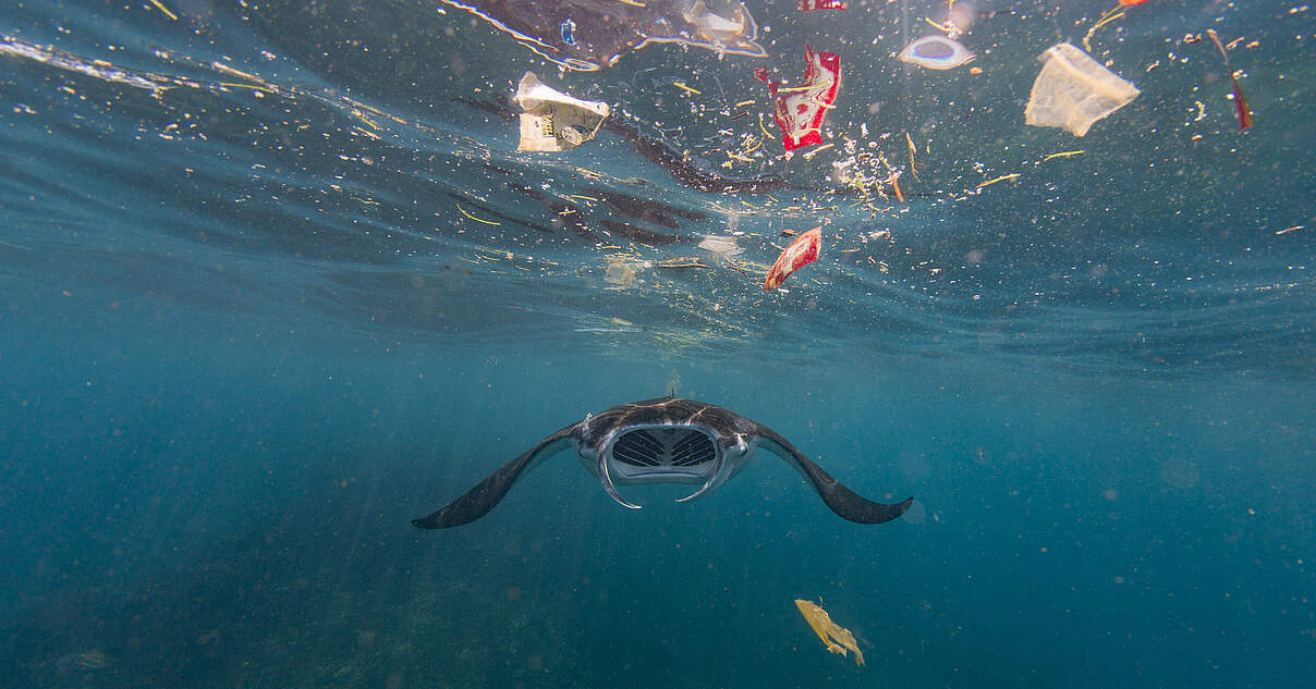 Plastikkrise Wie Plastikmüll Im Meer Ganze Ökosysteme 2163