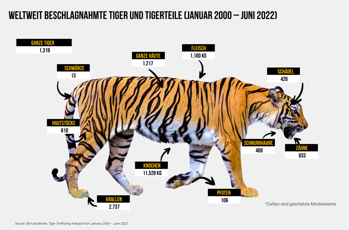 Infografik zum "Skin and Bones"-Report 2022 / Tigerteile © TRAFFIC 