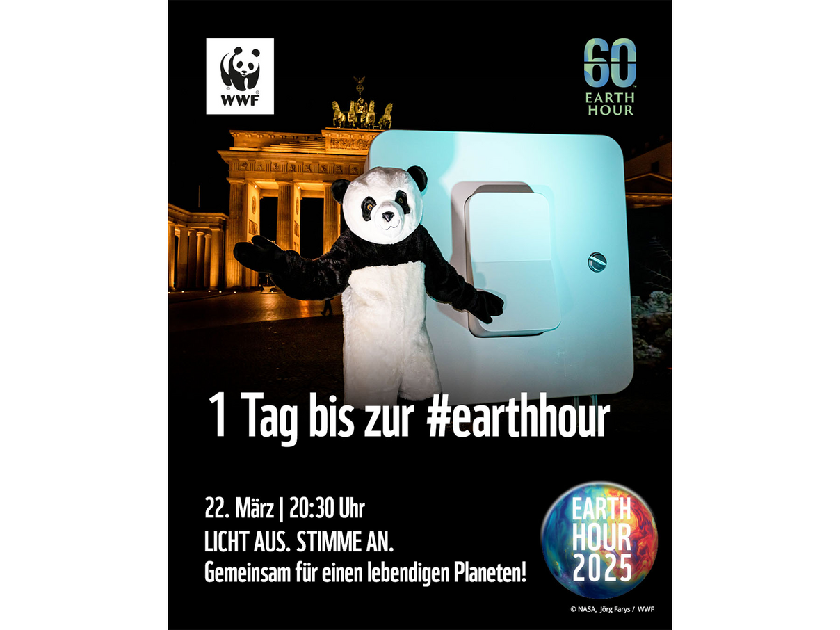 Beispiel für Countdown Assets © NASA / Jörg Farys / WWF