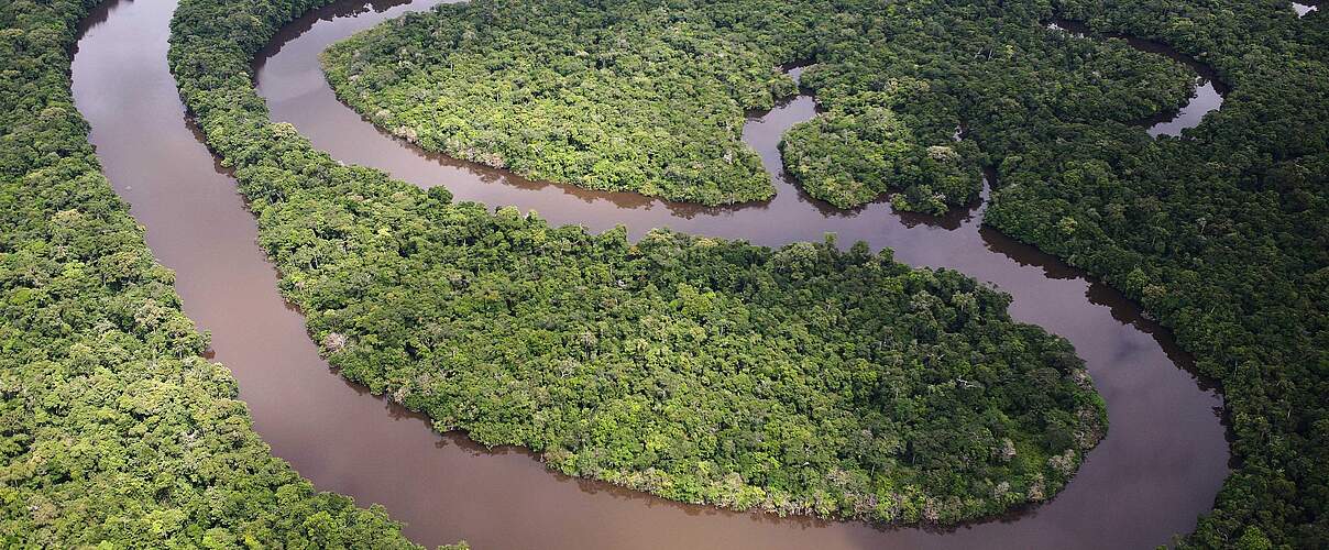 Regenwald Amazonas © Brent Stirton / Getty Images