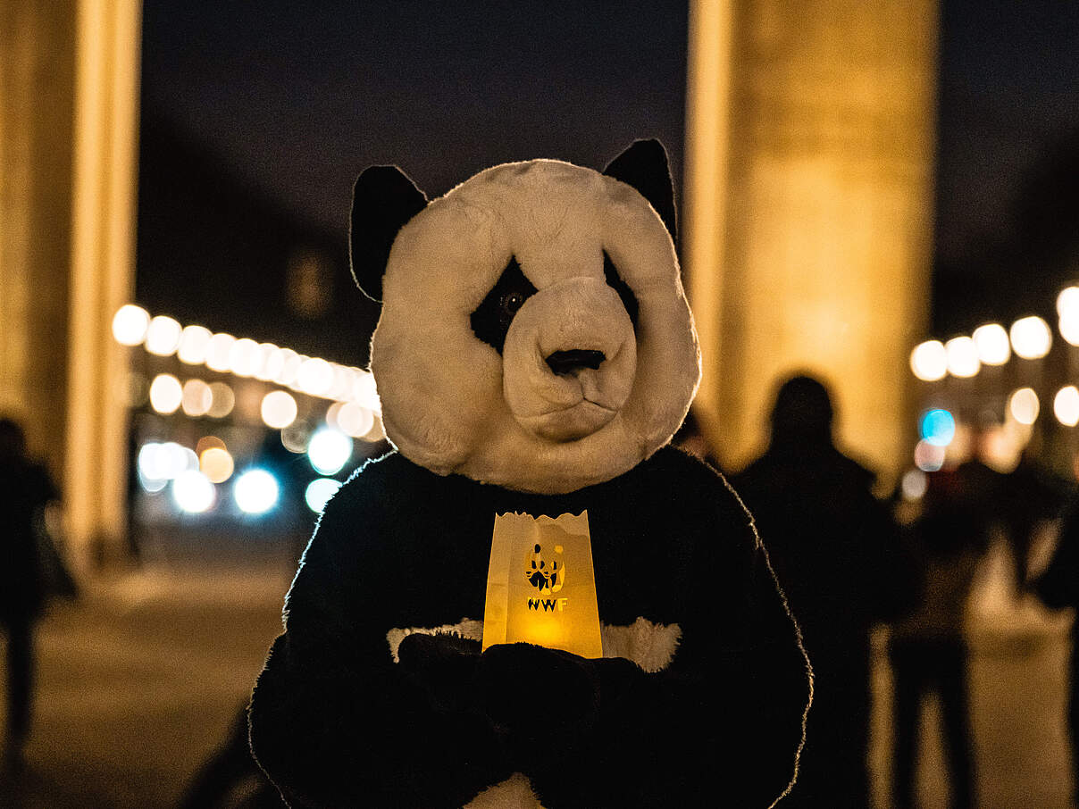 Earth Hour am Brandenburger Tor © Andi Weiland / WWF