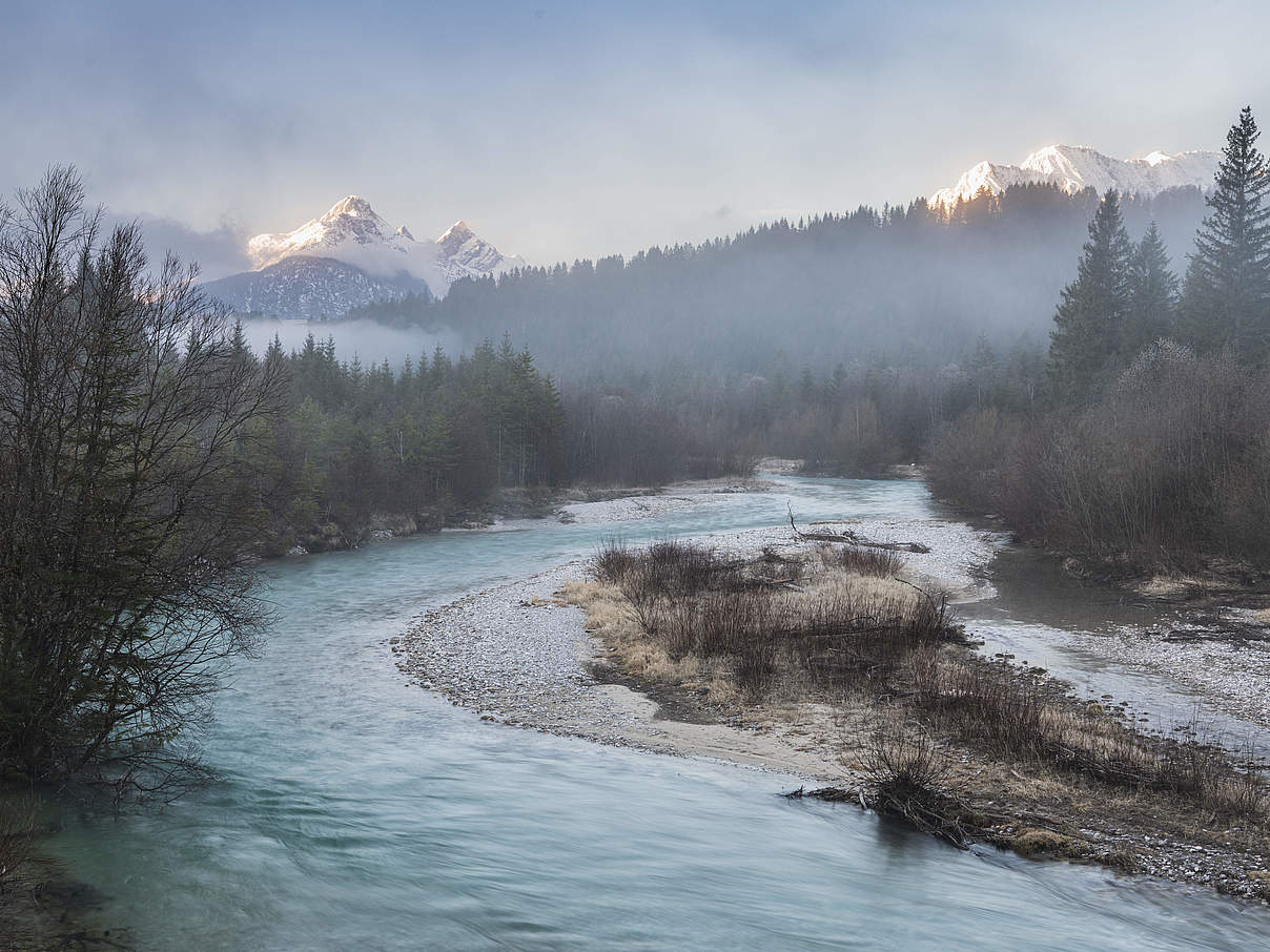 Isar | Fotoprojekt „verdammt.wild“ © Andreas Volz