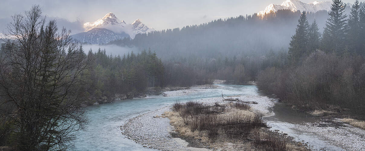 Isar | Fotoprojekt „verdammt.wild“ © Andreas Volz