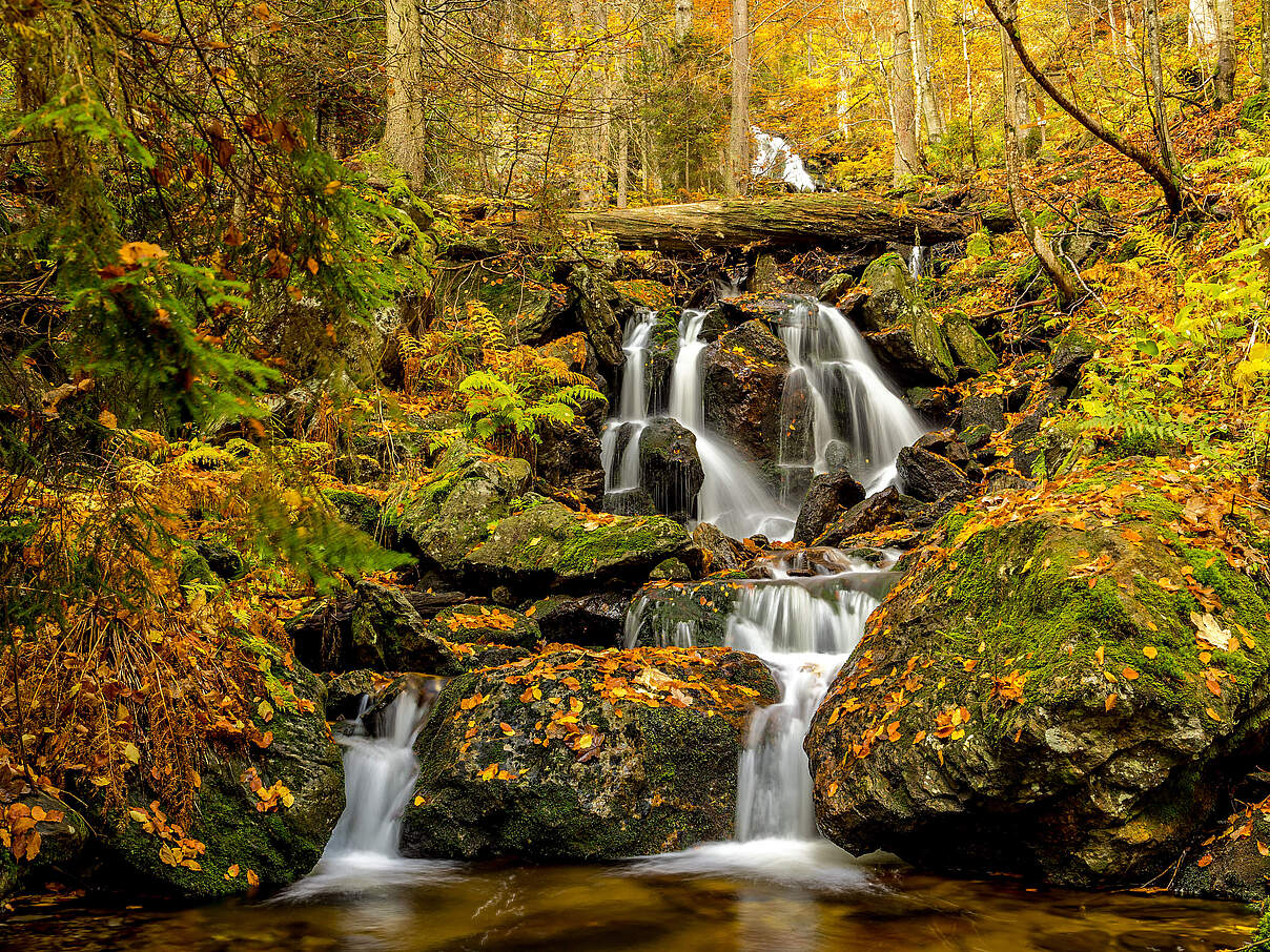 Höllbachschlucht Wasserfall © Steffen Krieger