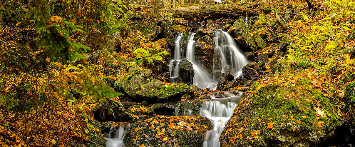 Höllbachschlucht Wasserfall © Steffen Krieger