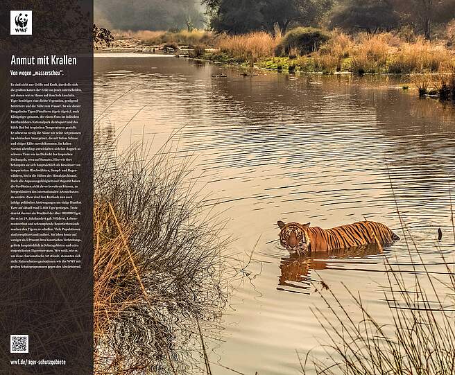 WWF Living Kalender 2024 als Dankeschön