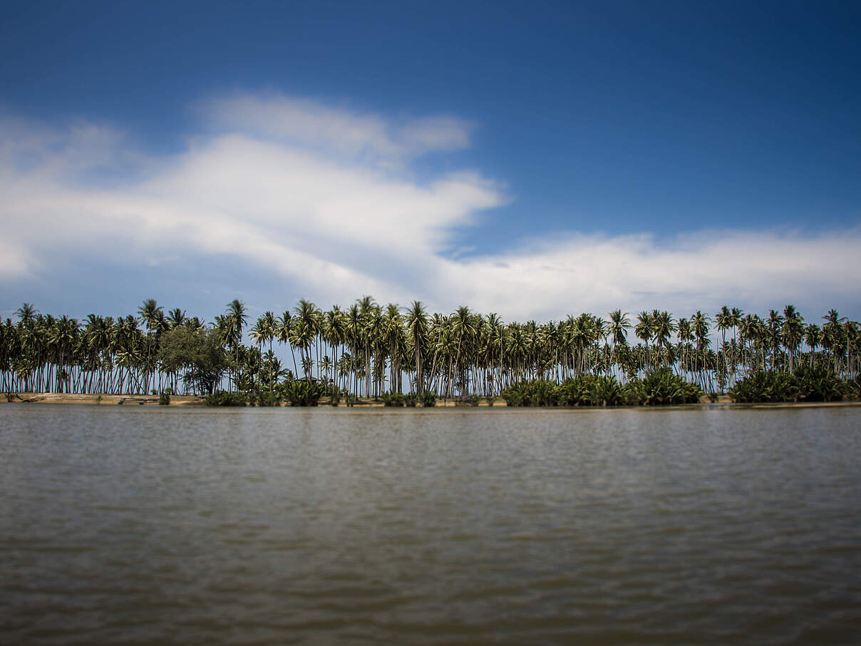 Setiu Wetlands © WWF-Malaysia / Mazidi Abd Ghani