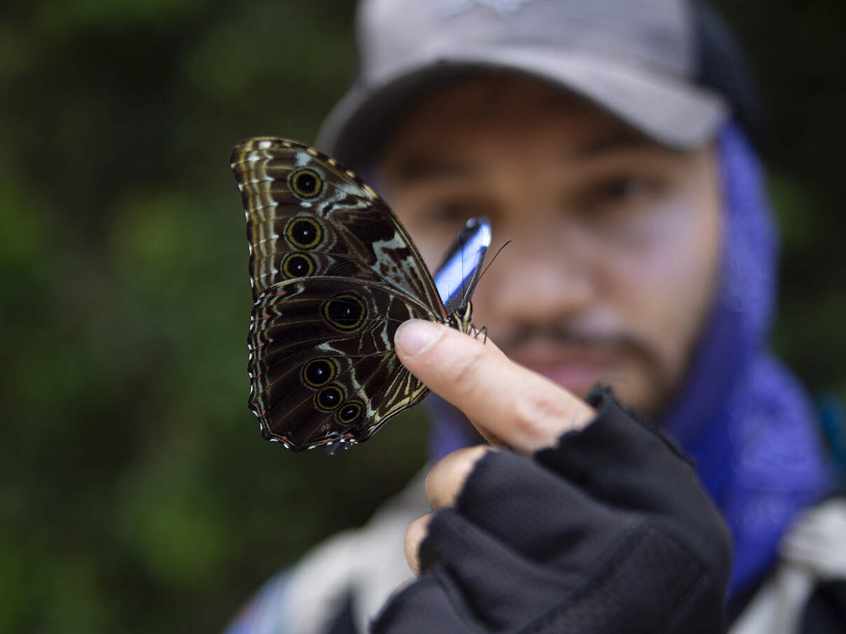 Mann mit Schmetterling auf Expedition © Pablo Mejía / WWF Colombia