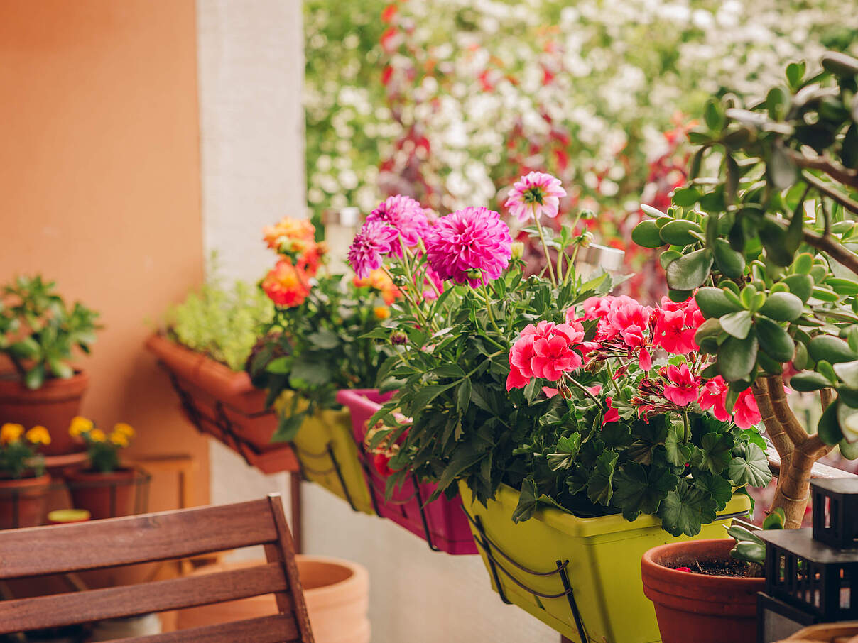 Blumenpracht auf dem Balkon © Anna Nahabed / iStock GettyImages