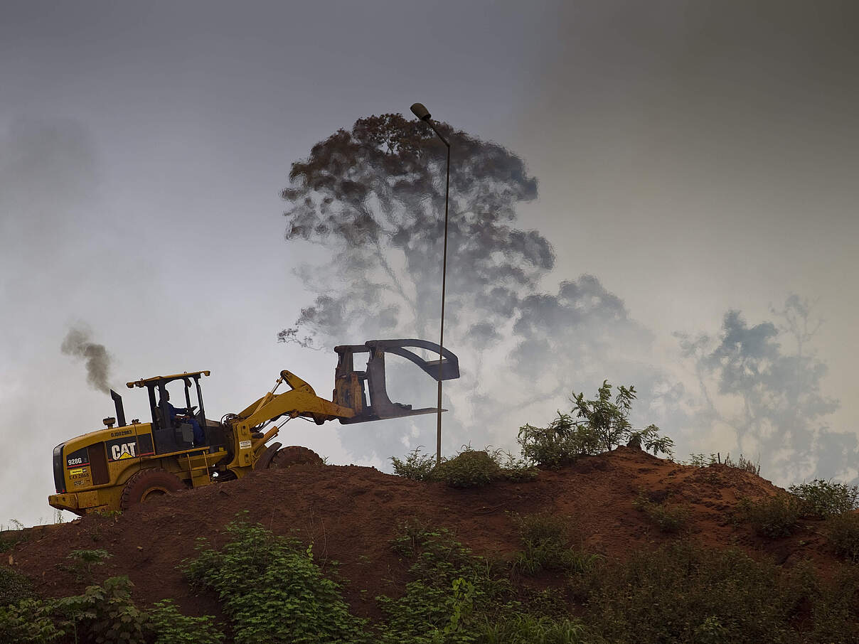 Abholzung in Kamerun © Brent Stirton / Getty Images / WWF UK