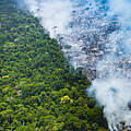 Brände in Amazonien © Araquem Alcantara / WWF Brasilien