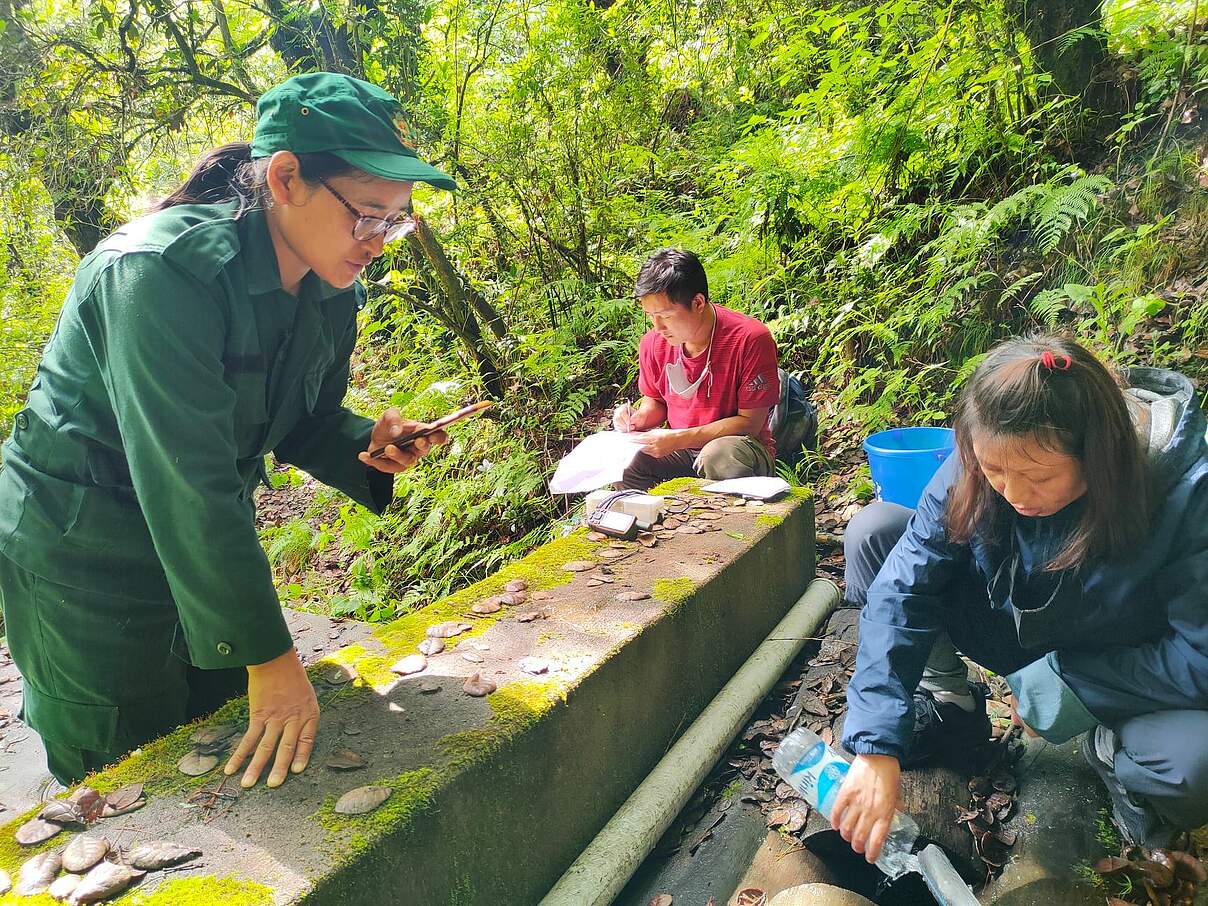 Springsheds müssen regelmäßig gewartet werden © Tarayana