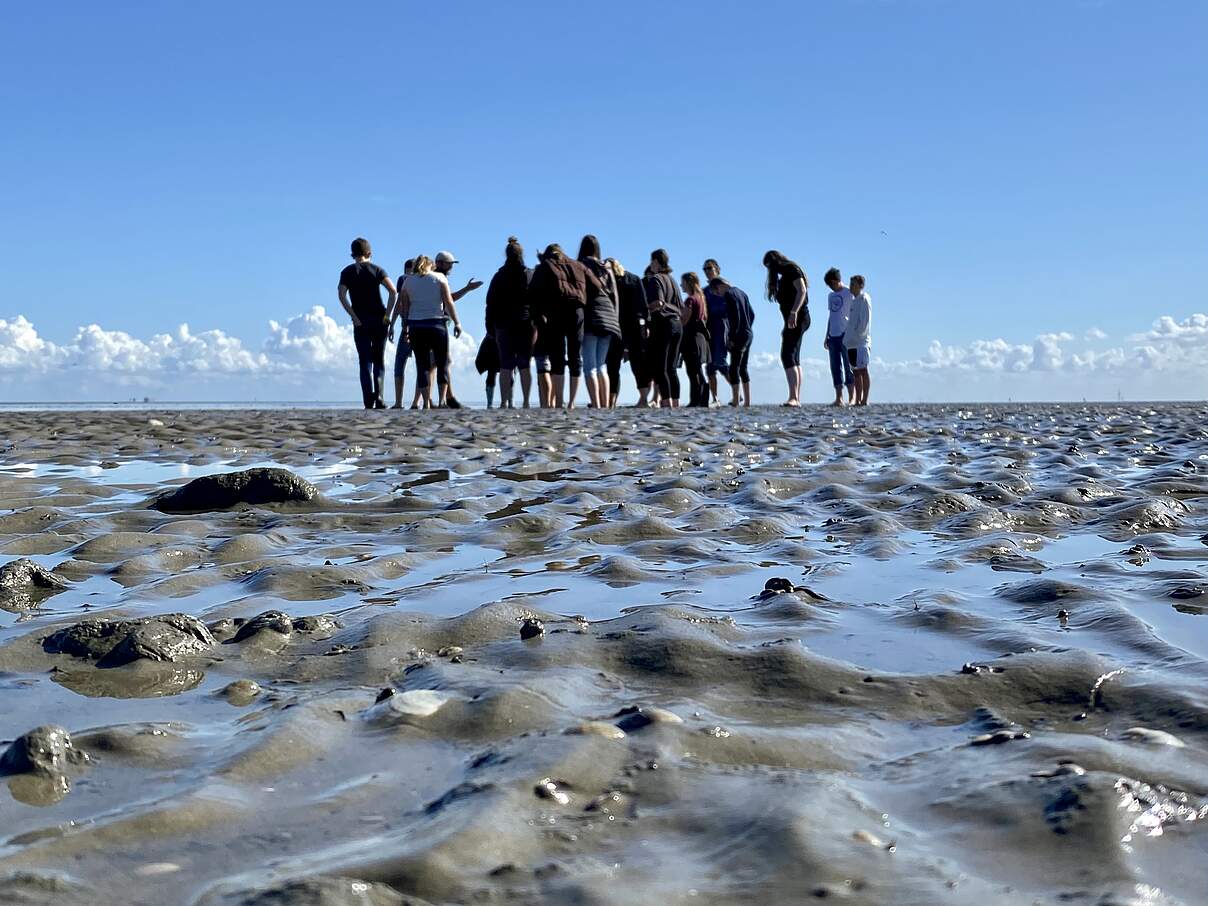 Wattabenteuer © Wattwanderzentrum Ostfriesland