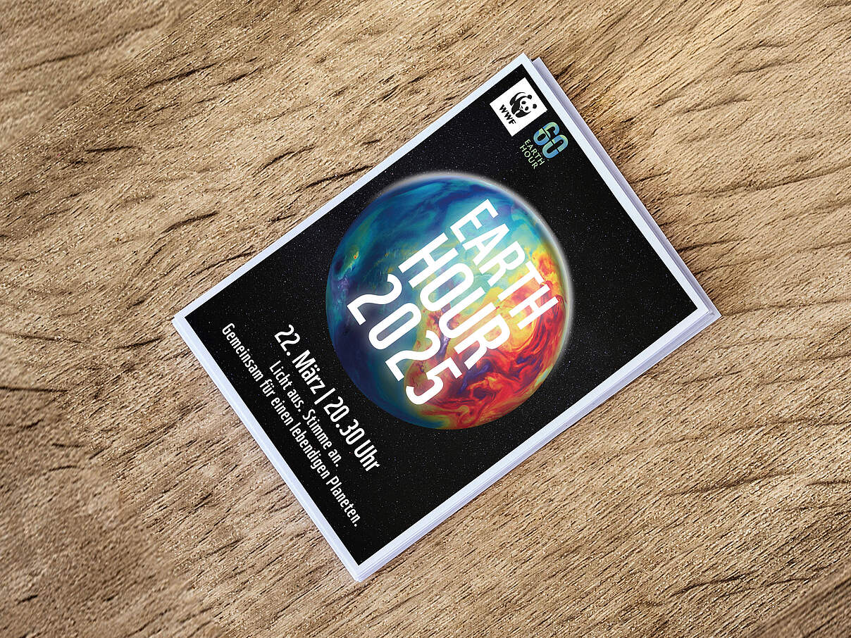 Postkarte zur Earth Hour 2025 © pinkomelet / iStock / Getty Images