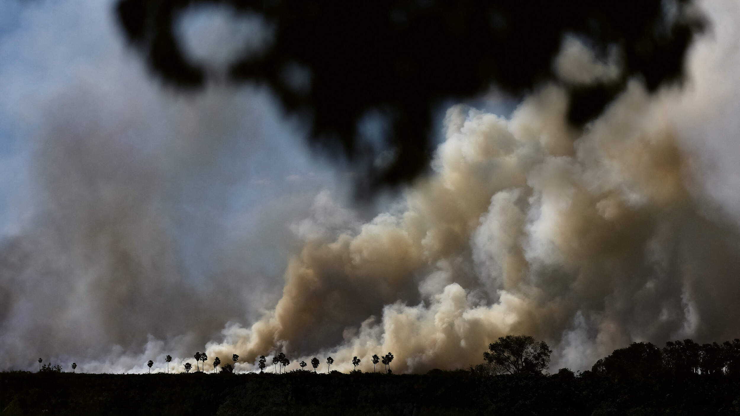 Feuer im Pantanal © picture alliance / REUTERS / Ueslei Marcelino