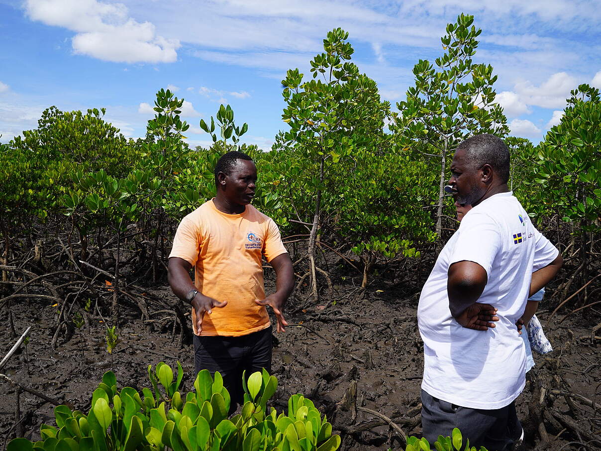 Besuch eines Mangrovenprojekts in Kenia © Julia Forchheim / WWF