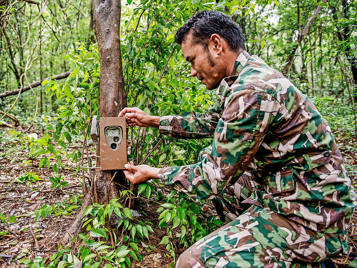 Ranger installiert Kamerafalle © James Morgan / WWF