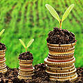 Nachhaltige Geldanlage © Shutterstock / isak55 / WWF