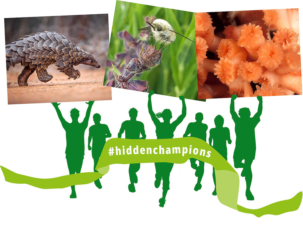 #run4nature: „Hidden Champions“ © WWF