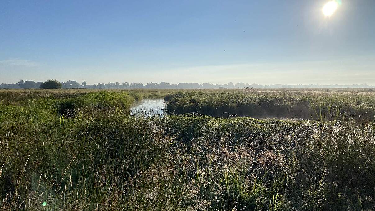 Brandsgraben an der Wümme © Rebekka Lemb / Stiftung Nordwest-Natur 