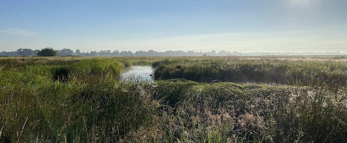 Brandsgraben an der Wümme © Rebekka Lemb / Stiftung Nordwest-Natur 