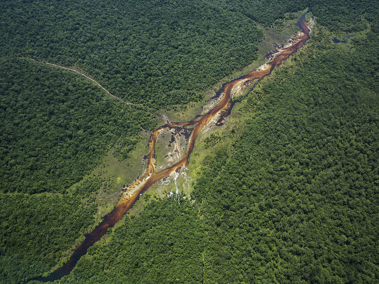 Luftaufnahme der Bekalikali "bai“ im Salonga-Nationalpark. © Karine Aigner / WWF-US