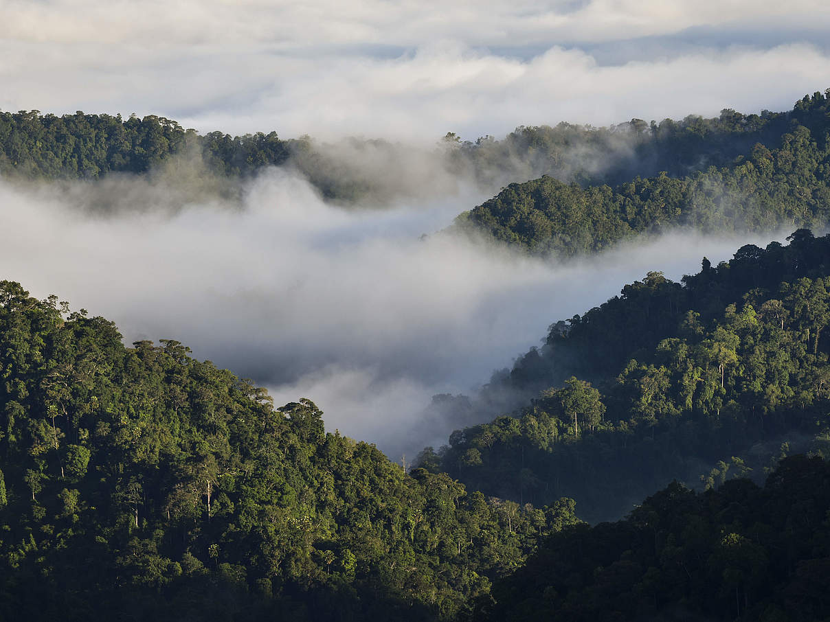 Die Dawna Tenasserim Landschaft in Thailand © Hkun Lat / WWF Australia